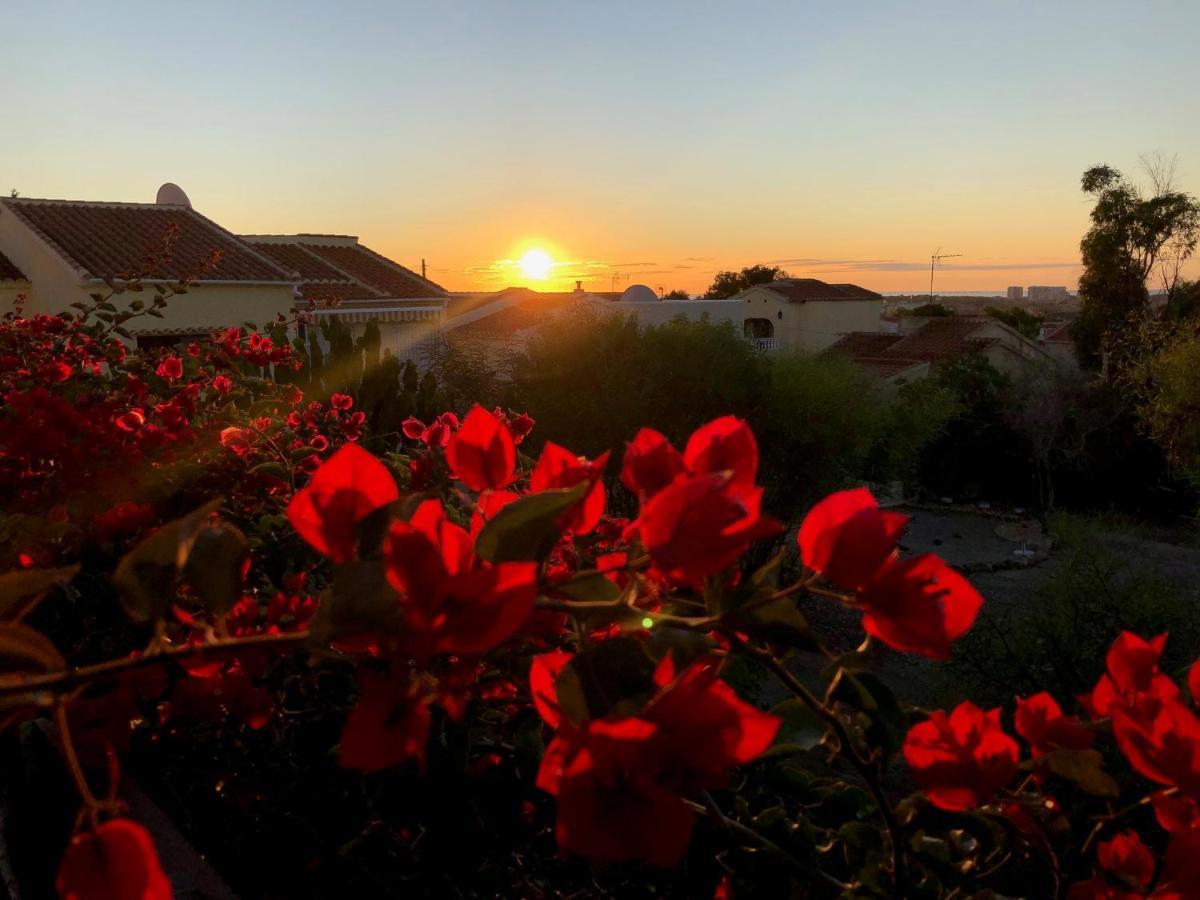 Sonniges Apartment An Der Costa Blanca San Fulgencio المظهر الخارجي الصورة